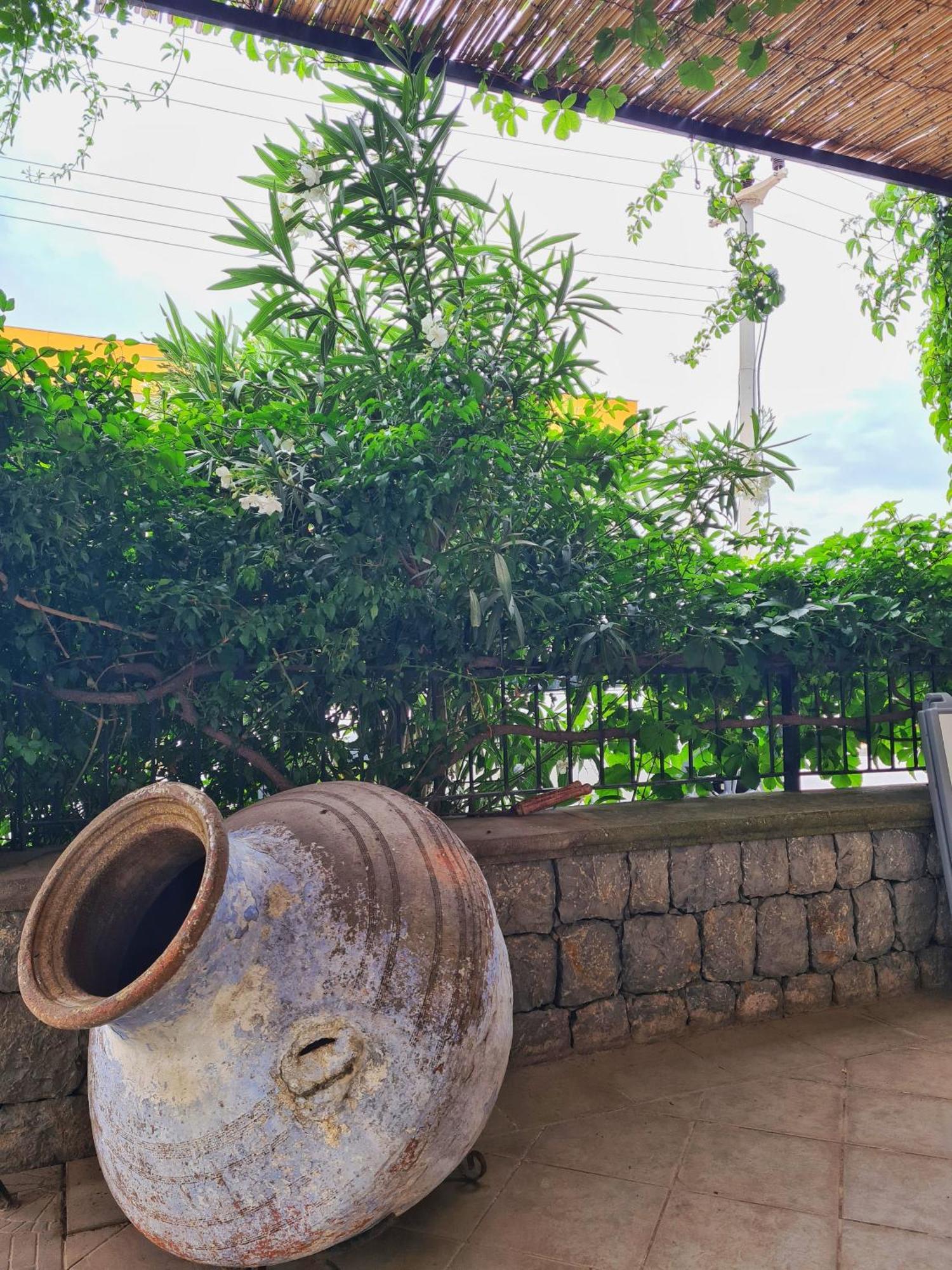 Fora Apart Otel Çeşme Eksteriør billede